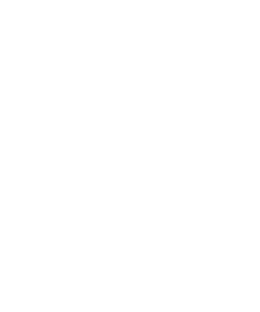 Document icon